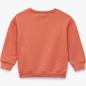 Resim Erkek Bebek Şardonlu Kaplan İşlemeli Uzun Kollu Bisiklet Yaka Sweatshirt 