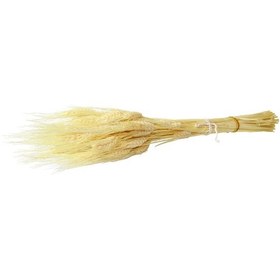 Resim Kurutulmuş Başak Demeti Beyazlatılmış 