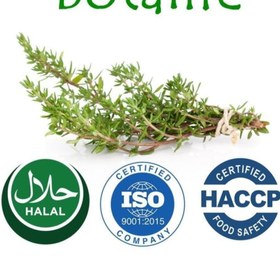 Resim Botalife %100 Saf Doğal Çam Terebentin Yağı 50 ml Ispartamdan 