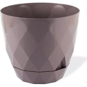 Resim 2 No Yakamoz Saksı 1 Adet Royaleks-krs-452 