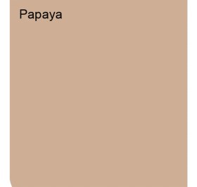 Resim Marshall Maximum Silikonlu İpek Mat Papaya 2,5 Lt. (3,5 kg) 