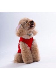 Resim Kırmızı Donut Teddy Tişört Kedi Köpek Tişörtü-kedi Köpek Kıyafeti 