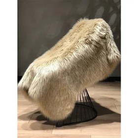 Resim Halı Vagonu Bej Renkli Uzun Tüylü Exclusive Post - Tekli (Tek Uçlu) / 100x150 