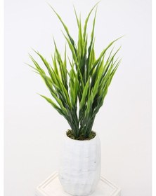 Resim Tepsili Mini Beton Vazoda Yeşillik Tanzimi 33 Cm 