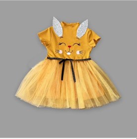 Resim 1-2-3 Yaş Payetli Kulak Tavşan Baskılı Kız Bebek Elbisesi Hardal HARDAL 