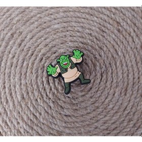 Resim Terlik Ayakkabı Sandalet Süsü Shrek 1 Adet Silikon Kız Erkek Aksesuar Hediye 