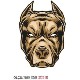 Resim Motorsiklet Otomobil Sticker 2 Adet 136 