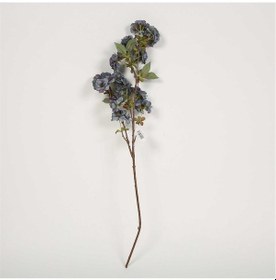 Resim Vitale Kiraz Çiçeği Antique Green Kiray Çiçek 20 8 