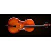 Resim Valencia CE400F44 Cello French Style 4-4 