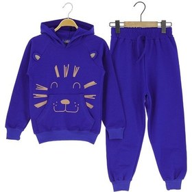 Resim Aslan Baskılı Kapüşonlu İki İplik Şardonlu Eşofman Takım Saks 