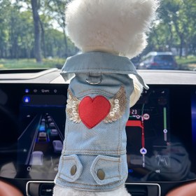 Resim Köpekler ve kediler için pet kıyafetleri, bir melek kalbi tasarımı ve sahte kot görünümüyle, küçük köpekler ve yavru köpekler için dışarı giyilebilecek şık, sevimli ve rahat bir seçenek. 