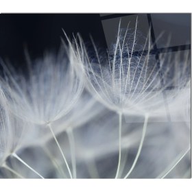 Resim Olinpa Cam Ocak Arkası Koruyucu | Beyaz Çiçek Desenli 