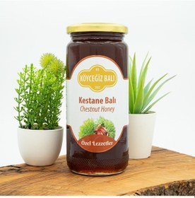Resim Köyceğiz Balı Kestane Balı Cam Kavanoz 660 G 