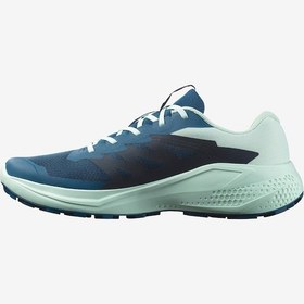 Resim Salomon Alphaglide Erkek Patika Koşusu Ayakkabı Mavi 