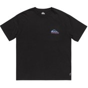 Resim Quiksilver Take Us Back Logo Erkek Gri Tişört 