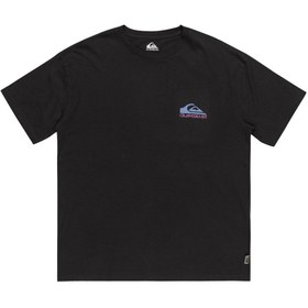 Resim Quiksilver Take Us Back Logo Erkek Gri Tişört 