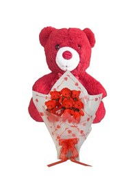 Resim Sevimli 35 Cm Peluş Ayı İle Premium Yumoş Kırmızı Peluş Ayıcık Buketi 