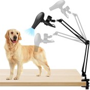 Resim Köpek Saç Kurutucu Tutucu, 360 ° Döndürülebilir Eller Serbest Evcil Hayvan Kurutma Makinesi, Ayarlanabilir Kelepçeli, Çoğu Saç Kurutucusuna Uyuyor (Yurt Dışından) 