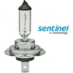 Resim Sentinel H7 Halojen Far Ampülü 12 Volt 55watt 