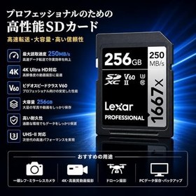 Resim Lexar Professıonal 256 Gb 1667X Sdxc Hafıza Kartı (250Mb/S-90Mb/S) 
