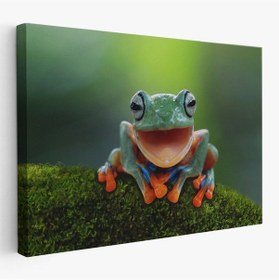 Resim Es10 modagos067 Renkli Gülen Kurbağa Dekoratif Kanvas Tablo 1149 (95 x 165) 