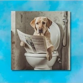 Resim GAAGART Tekli Kare Kanvas Banyo Tablosu Gazete Okuyan Kahverengi Labrador Köpek 50 x 50 gartNM8383 