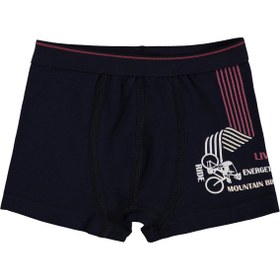 Resim Civil Boys Bike 2-10 Yaş Erkek Çocuk 2'li Boxer - Standart / 2-3 Yaş 