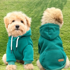 Resim Küçük Köpekler için Pet Kapüşonlu Sweatshirt, %65 Polyester %35 Örgü Kapüşonlu Sweatshirt Schnauzer, Poodle, Teddy için, Yalnızca El Yıkama - Yeşil 