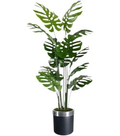 Resim Yapay Ağaç Monstera Deve Tabanı Ağacı 180 Cm 16 Yaprak Siyah Gümüş Saksı 