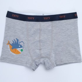 Resim Toontoy Erkek Çocuk Baskılı Pamuklu Lastikli Boxer - 4'lü Paket 