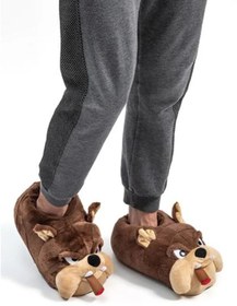 Resim Twigy Bulldog Köpekli Ev Botu Panduf 