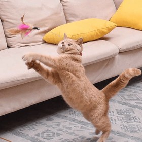 Resim Kedi Oyuncağı Tüy Yakalık - Pembe 