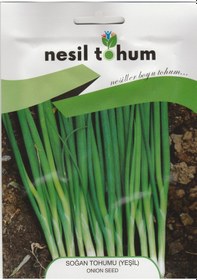 Resim Nesil Yeşil Soğan Tohumu 5 GRam 