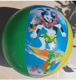 Resim Deniz Topu 29 Cm Mavi - Beyaz 