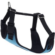 Resim Actirex Neon Cool Köpek Göğüs Tasması Mavi M 45 x 55 CM 