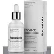 Resim Facelab Aydınlatıcı Leke Karşıtı Bakım Serum 30ml 