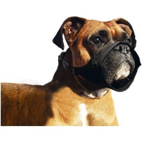 Resim Karlıe Köpek Csmtex - 83 Ağızlığı Özel 