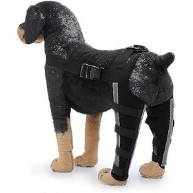 Resim Arka Bacak Yaralanmaları Ve Ağrı Giderici Köpek Hareketlilik Destek Desteği S Yansıtıcı Siyah 