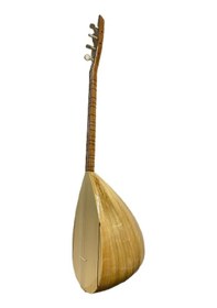 Resim KISA SAP BAĞLAMA KİRAZ AĞACI KALİTELİ ÇİFT KAFES 