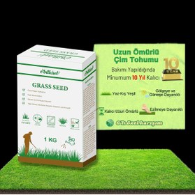 Resim Hype Store Ebitkisel Çok Yıllık Çim Tohumu 1 Kg Uzun Ömürlü 6'lı Karışım Gölge ve Aşırı Güneşli Alan Uygun Yeti 