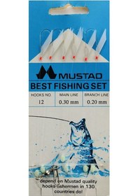 Resim Mustad Best Fishing Set 0,30 0,20 Mm No:12 Çapari 