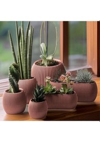 Resim Omnipazar Mercan Dekoratif Sukulent Kaktüs Plastik Saksı Takımı 6'lı Set Pembe 
