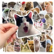 Resim Çılgın Kediler Macbook Notebook Tablet Telefon Ajanda Laptop Defter Sticker Seti 