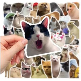 Resim Çılgın Kediler Macbook Notebook Tablet Telefon Ajanda Laptop Defter Sticker Seti 