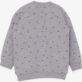 Resim Breeze Kız Bebek Sweatshirt Mutlu Kedicikler 4 Ay-1.5 Yaş, Gri Melanj-gri Melanj Gri Melanj 