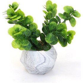 Resim Dekoratif Geometrik Beton Saksıda Yeşillik Tanzimi 16cm Yeşil Yeşil 