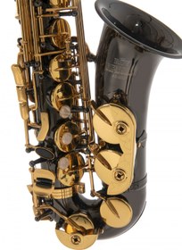 Resim Roy Benson AS-202K Alto Saksafon 