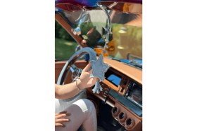 Resim Jean Yıldız Dikiz Süsü 