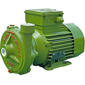 Resim Alem Bertola Astra Bahçe Su Pompası 1 Hp 220 Volt Monofaze 