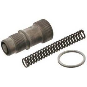 Resim Esse Otomotiv - W124-201 Eksantrik Zincir Gergisi 1984-1993 Bsg60109025 A1020501011 